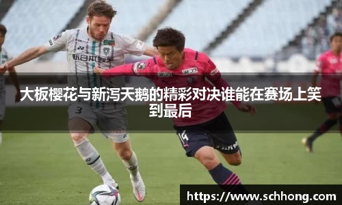 大板樱花与新泻天鹅的精彩对决谁能在赛场上笑到最后